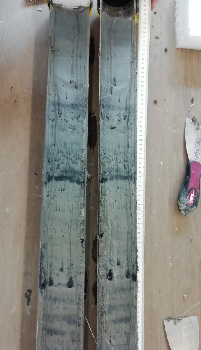 Image 4: A recently split sediment core surface ready for preparation for Itrax and MSCL-XYZ analysis at BOSCORF