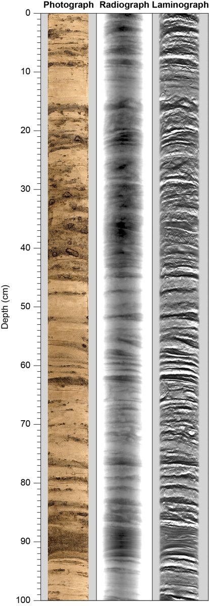 Photograph, radiograph and laminograph.